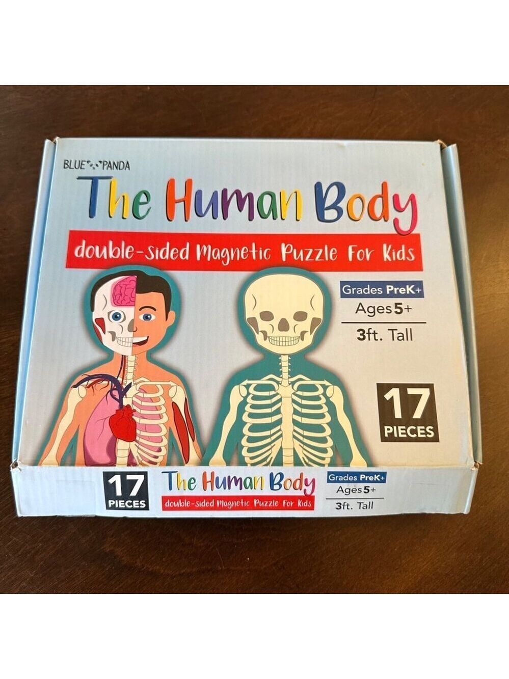 Human Body Magnetic Puzzle Kids Double Sided 3 Ft Anatomy Large Skeleton Floor